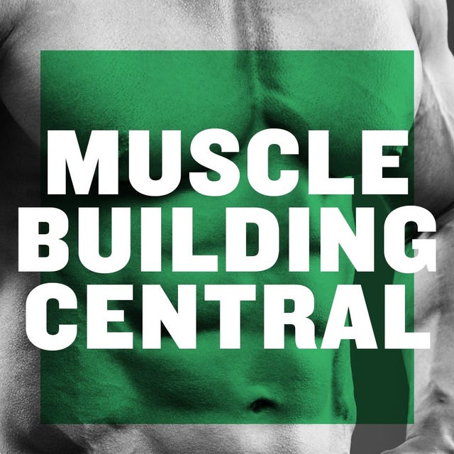 muscle building central muscle building central