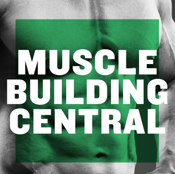 muscle building central muscle building central